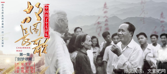 故园长歌观后