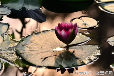 女人要有通透的心