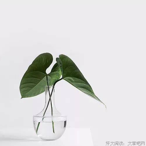 记一次有趣的搭讪经历
