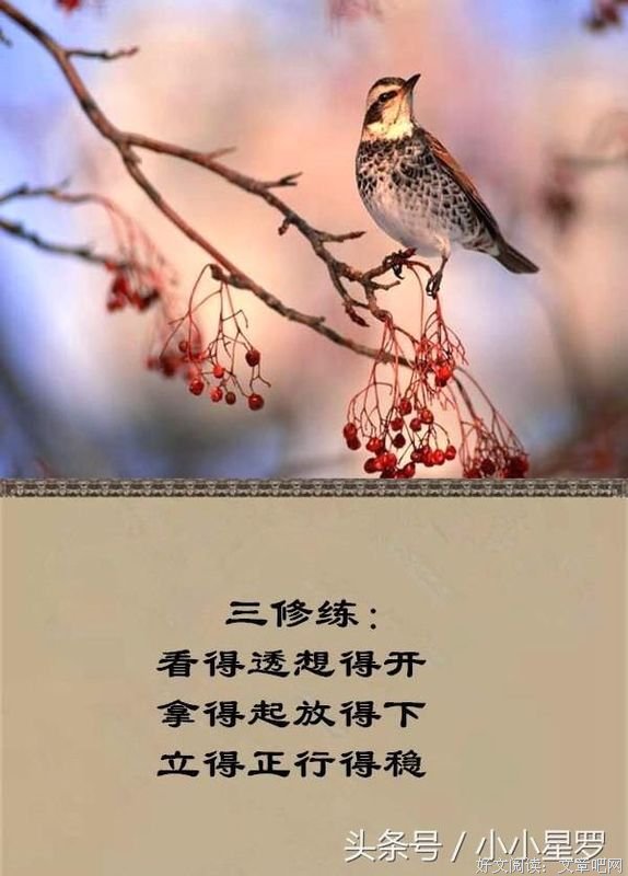 一个背景坎坷的女人和我在一起的那些日子