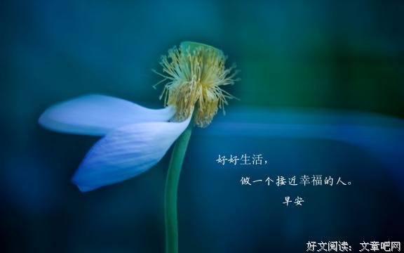 这是我对你最后的温柔