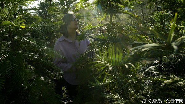 一位妇女松树在森林大火灾难中获救后被赋予特殊保护地位