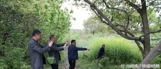 聊说赵家天子----