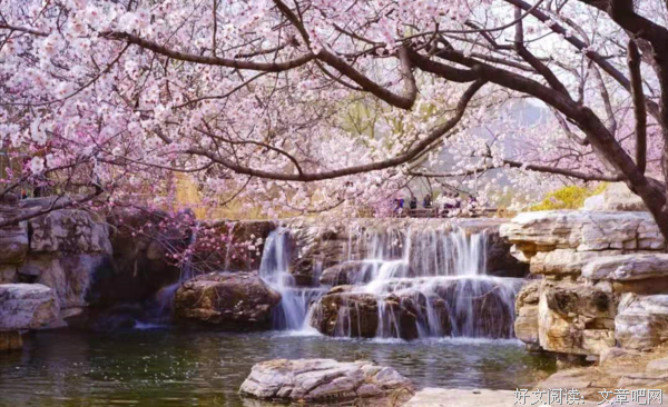 “我”是谁