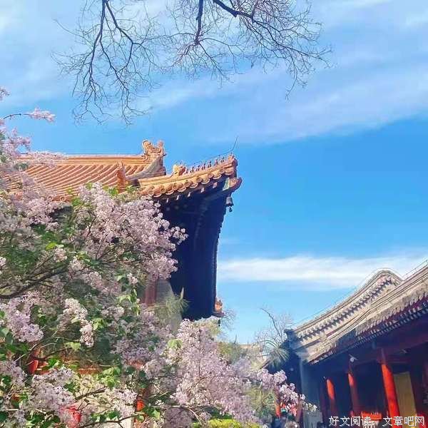 见字如面--与岳飞书