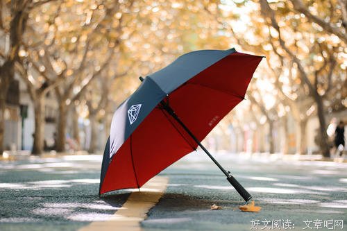 一把雨伞的故事