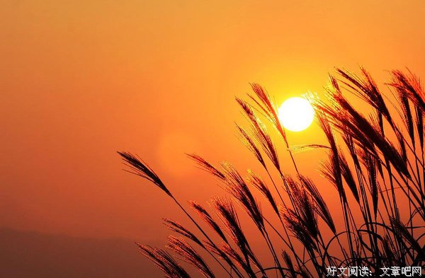 想起了外公，还很多话想和你说