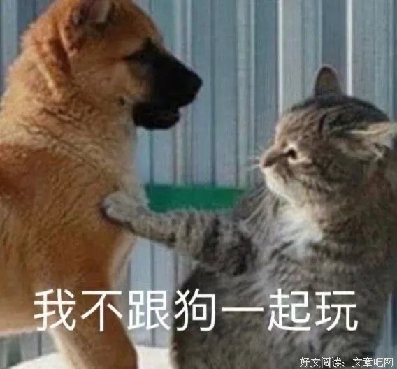 越品越有意思的沙雕朋友圈文案