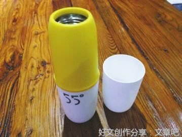 一只宠物猫的深刻反思