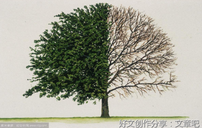 人这一生，要学会拥抱自己的“不完美”