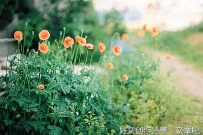 别到处说你的苦，没人愿意听到负能量