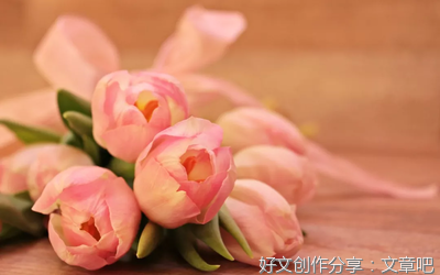 不是你的菜，别去揭锅盖