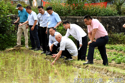 我们都用自己的方式努力生活着