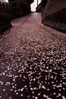 生活，输什么也不能输心情