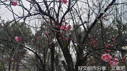 于是，一路收获一路失去