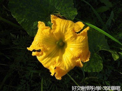人生没有如果，命运不相信假设