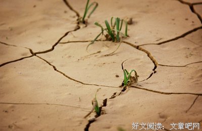 逆境是人生的宝藏
