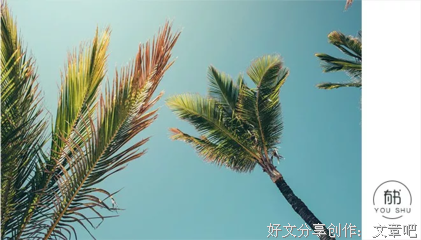 人生有三件事不可俭省