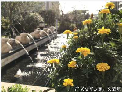 真正了解一个人，就看这个细节