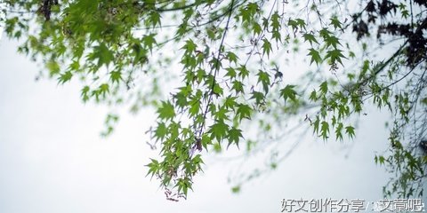 人生八度，你有几度