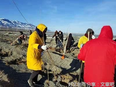 低碳生活驻心间 绿色发展焕新颜