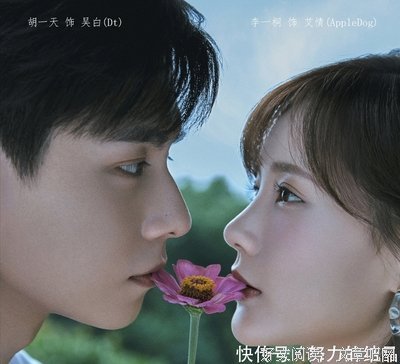 怀念，那年