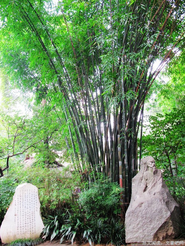 路上，行
