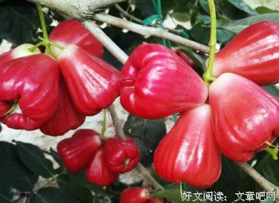无人存活