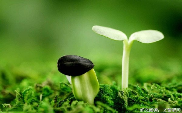 青春逝去，我们却一直在成长