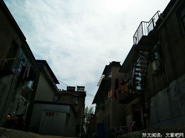 老马
