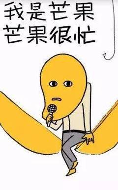 岁岁局