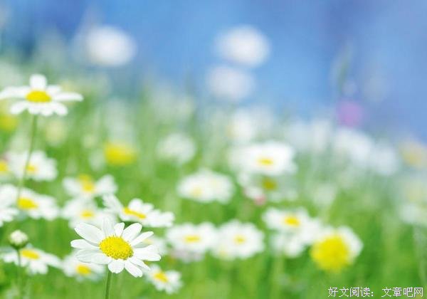 学会释怀，学会放下