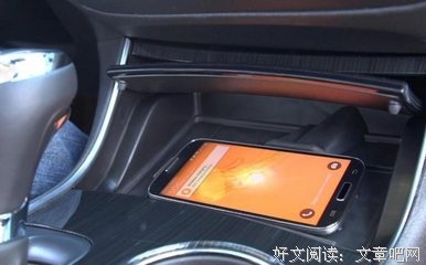 咸吃萝卜淡操心