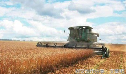 试谈乌克兰的出路问题