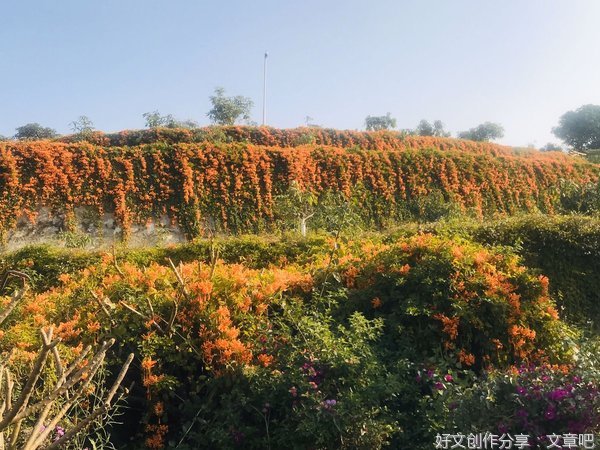 攀枝花矿务局太平煤矿有11名矿工被中国煤矿文联吸收为会员