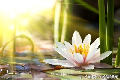雨中的牵挂