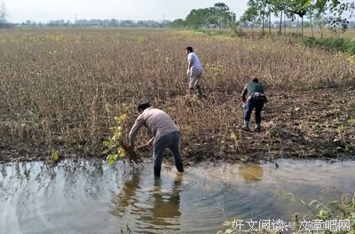 俺的说说“心经”的机缘和忐忑之心情--兼复秋意女士持续鼓励的贴