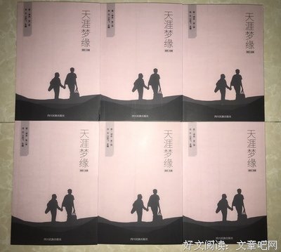 见诗如面