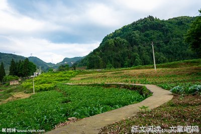 乡间小路