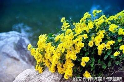 天上有朵美丽的云