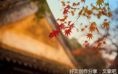 秋天的相思