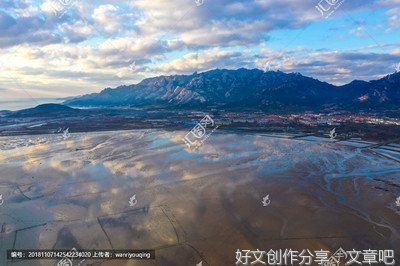 廉价白酒亦有情