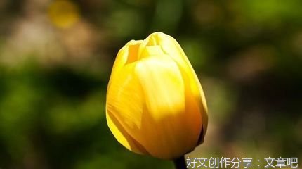 陌手重牵