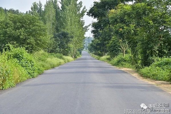 故乡的路