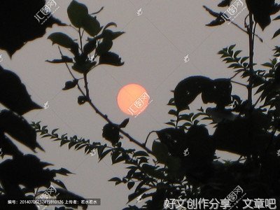 夕阳红