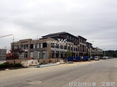 白俊明：征程
