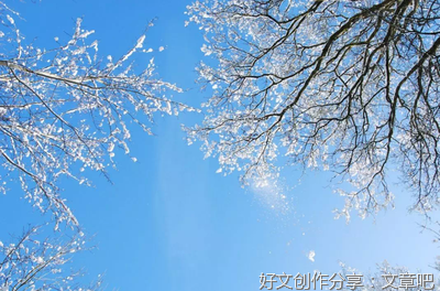 记忆的雪