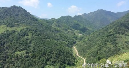 赖德忠：槐香阵阵