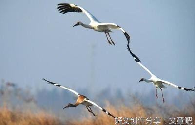 武永发散文：替乡党还情
