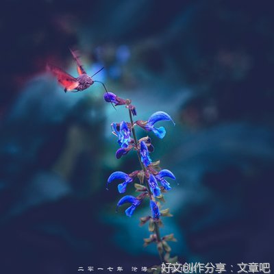 张东来：清晨的雨